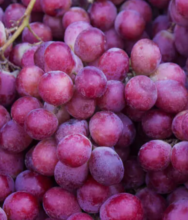 uvas
